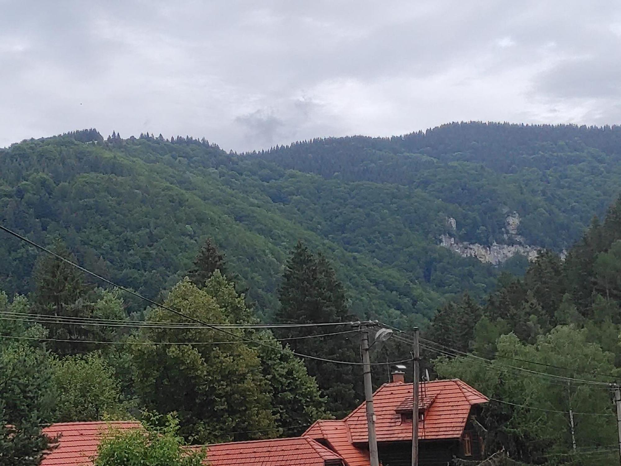 Penzion Smrekovica Ruzomberok Εξωτερικό φωτογραφία
